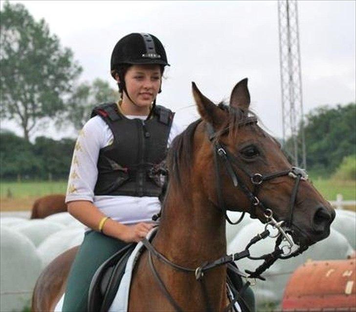 Anden særlig race Pretty Princess*Solgt* billede 18