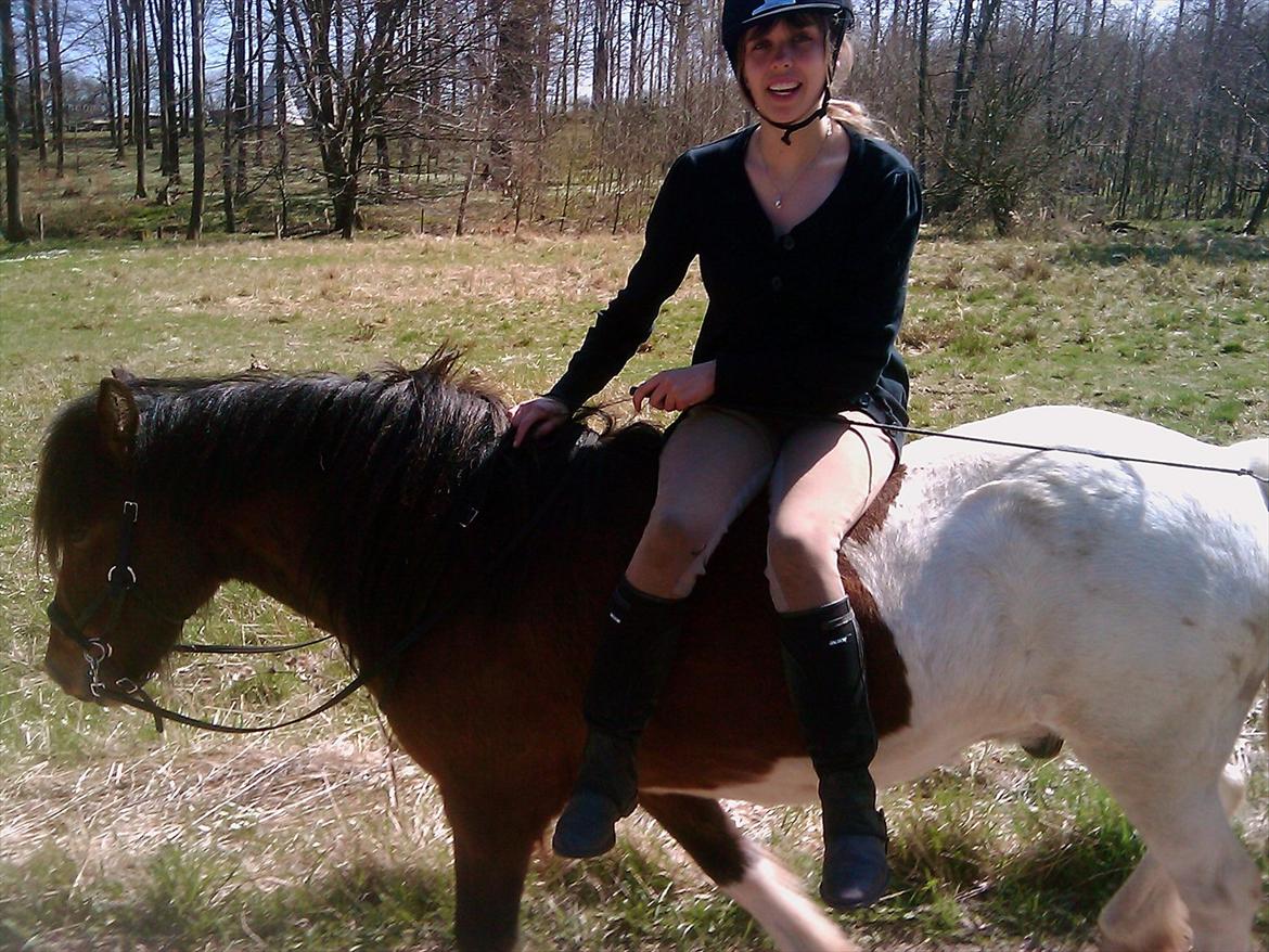 Islænder Fjörgull fra freersvang - den hyggeligste ridetur med milla<3
Du den bedste basse!

-Må IKKE kopieres- billede 20