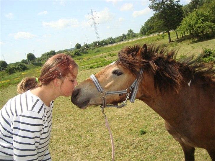 Anden særlig race ballu billede 2