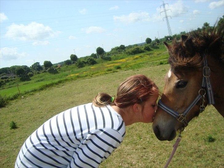 Anden særlig race ballu billede 4