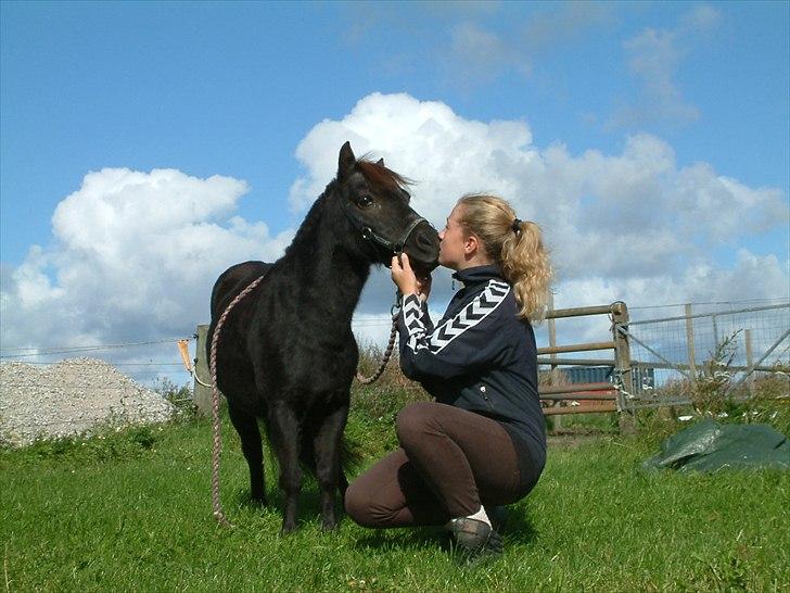 Shetlænder Claus † RIP † 10/9-11:( - KysKysMøsMøs!:-*<3 billede 2