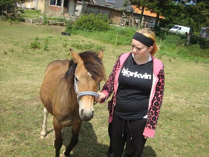 Anden særlig race ballu billede 18