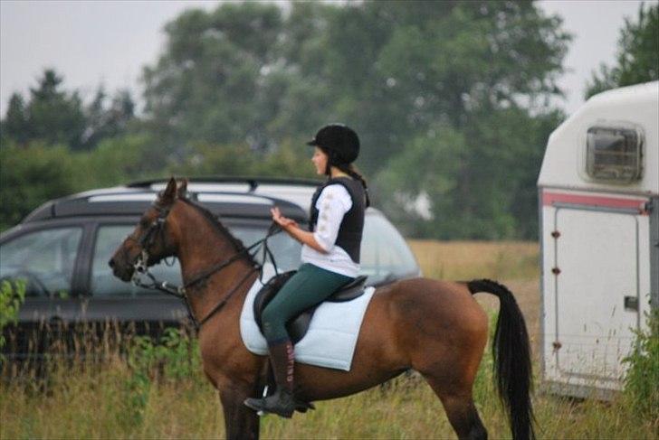 Anden særlig race Pretty Princess*Solgt* billede 20