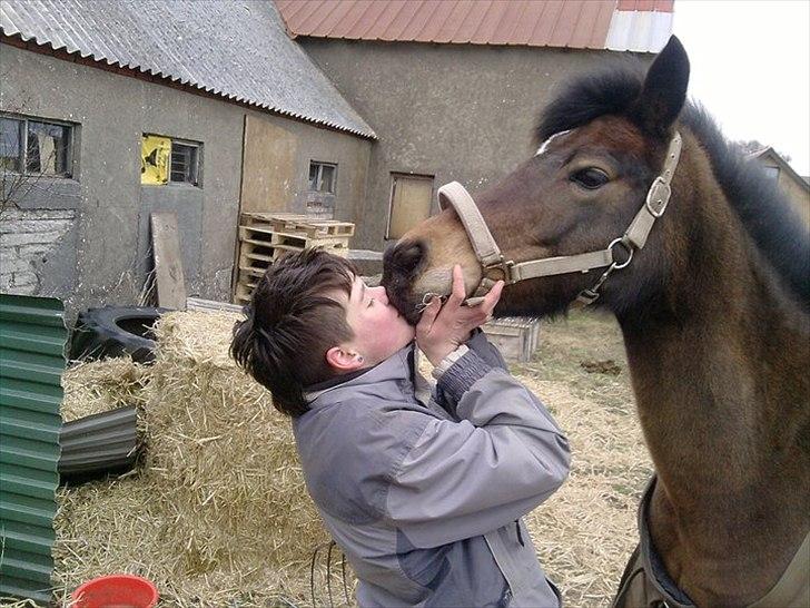 New Forest sabrina/minnie billede 7