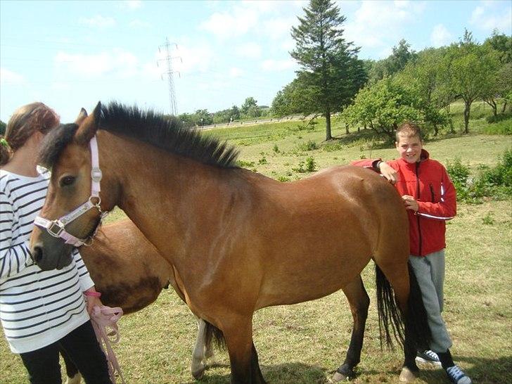 New Forest sabrina/minnie billede 11