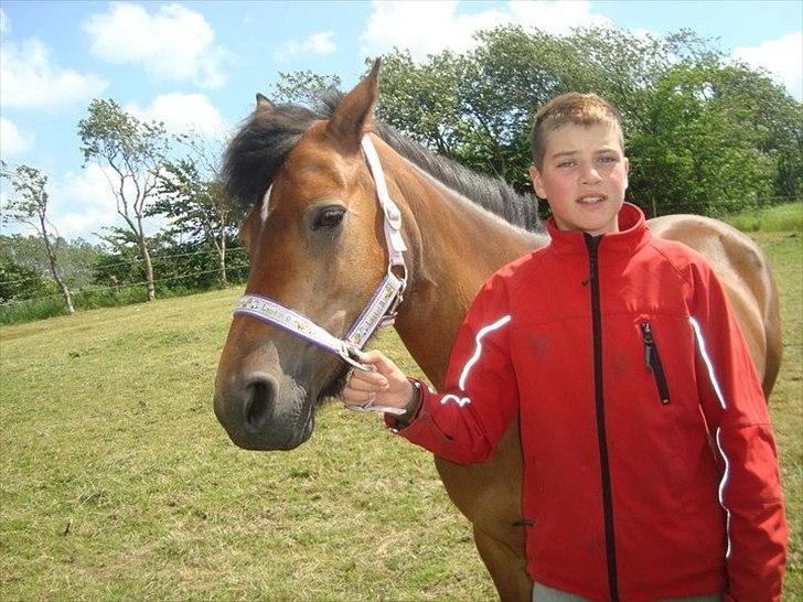 New Forest sabrina/minnie billede 12