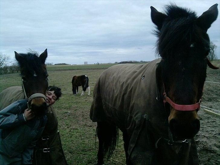 New Forest sabrina/minnie billede 15