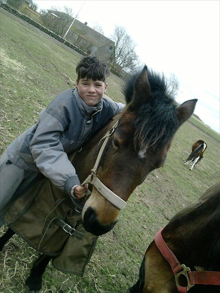 New Forest sabrina/minnie billede 16