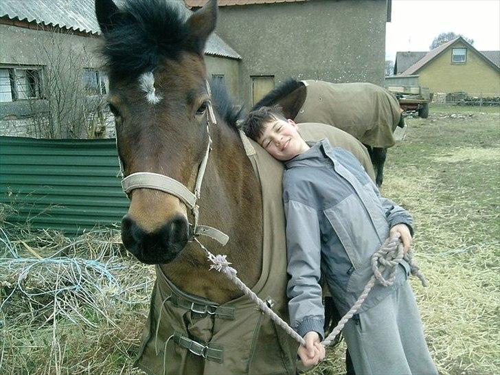 New Forest sabrina/minnie billede 20