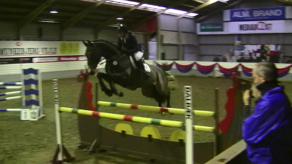 Dansk Varmblod - Caliber - 130cm. Vejle B-stævne, Januar 2012. billede 20