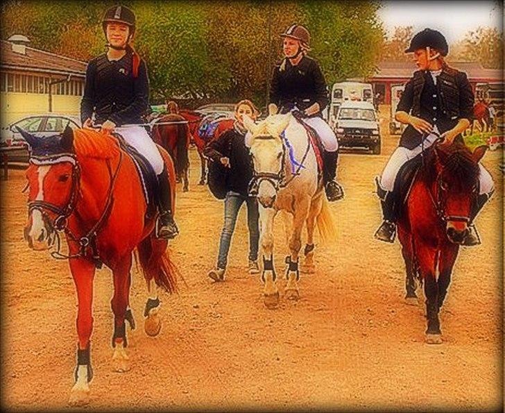 Exmoor Chi Chi  ¤ SOLGT! ¤ -  - Fordi vi har stævneskills! <3
Caroline & Emilia.. I er de sejeste! <3

Foto: ? billede 5