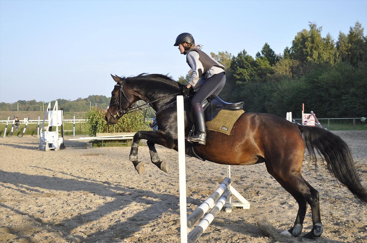 Oldenborg Aliczee - Elsker dig forevigt Alli pige <3 billede 17