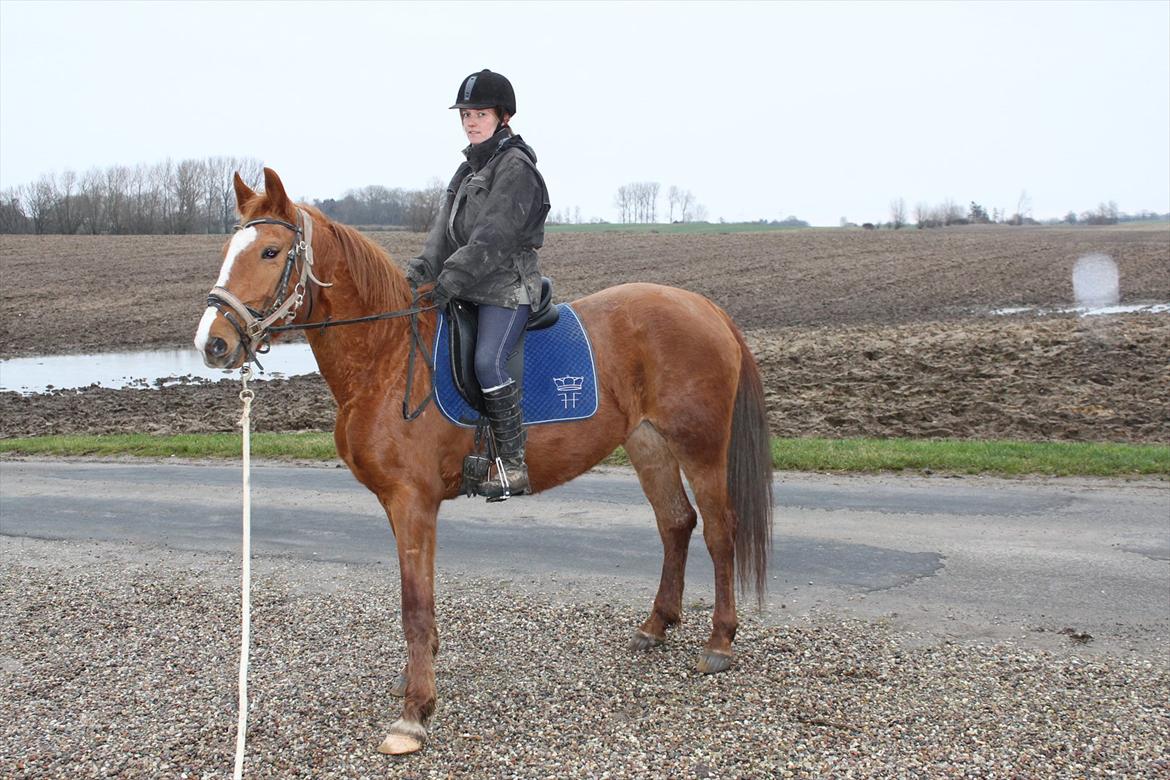 Frederiksborg Mie Bøgelund billede 20