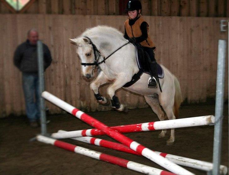 DSP Maygårdens Gaia SOLGT - Springdag hos Benny Hansen..
2. gang hun springer :o) billede 16