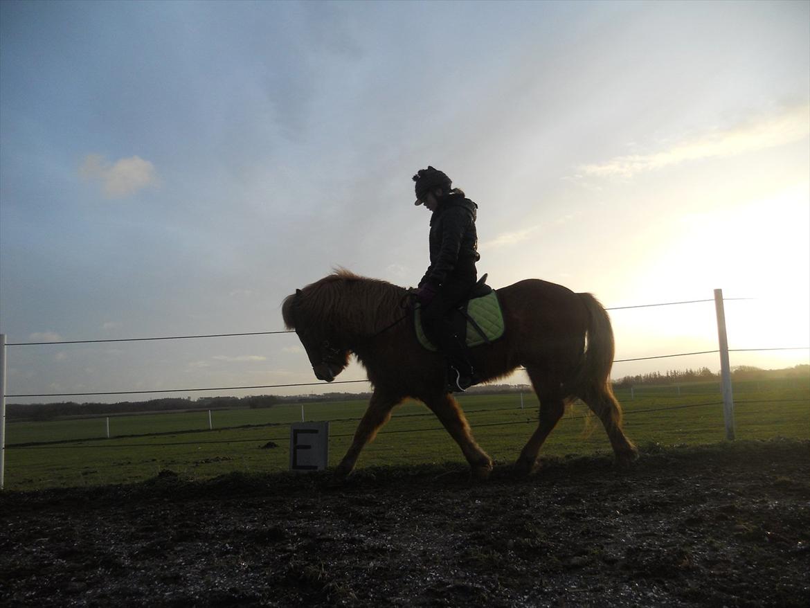 Islænder .:Gaski Fra Stokbro:. .:Perlen: *Mors* - Et billede si'r mere end 1000 ord ;)<3'

foto: Louise O.T. billede 9