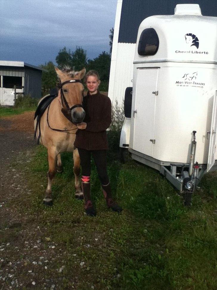 Fjordhest Frida af Tranemosen billede 7