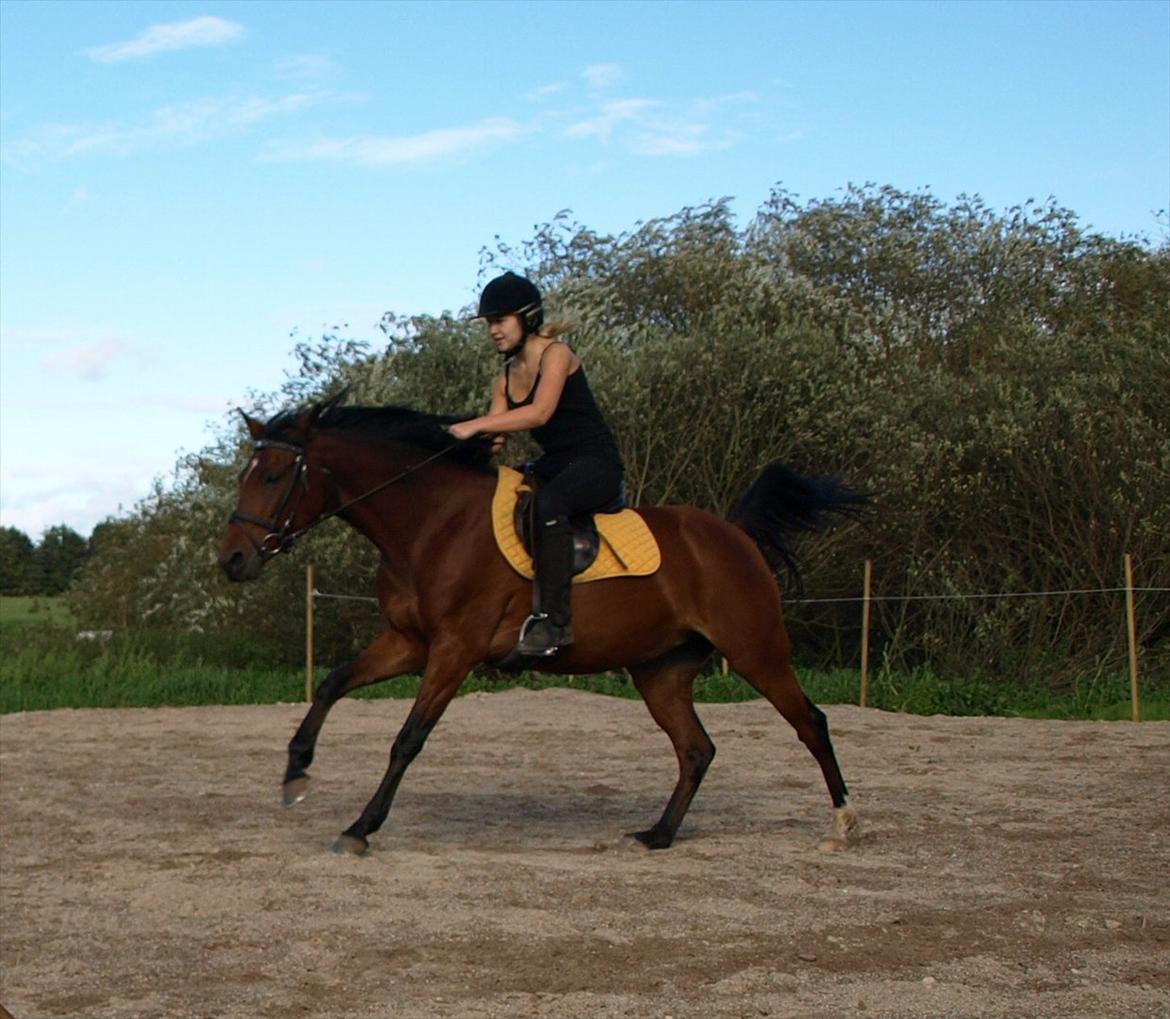 DSP Juliane Søblink<3 - på vej mod et spring, vi ser lidt sjove ud :P billede 10