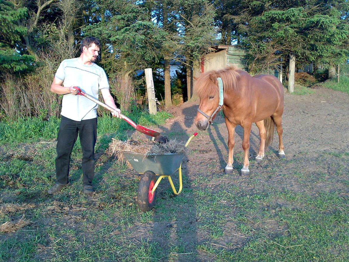Islænder Príns - Príns og min far billede 9