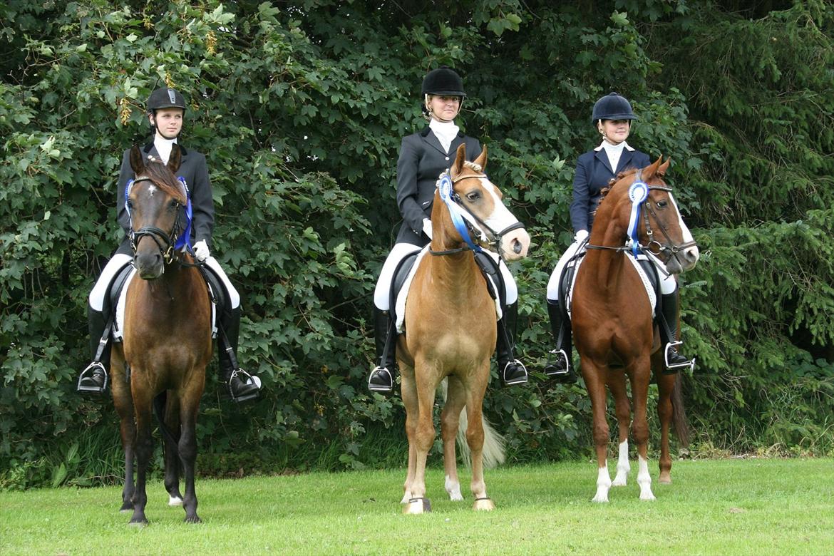 New Forest Holmens Kazai - Nr. 2 til distriks mesterskab for hold! billede 14