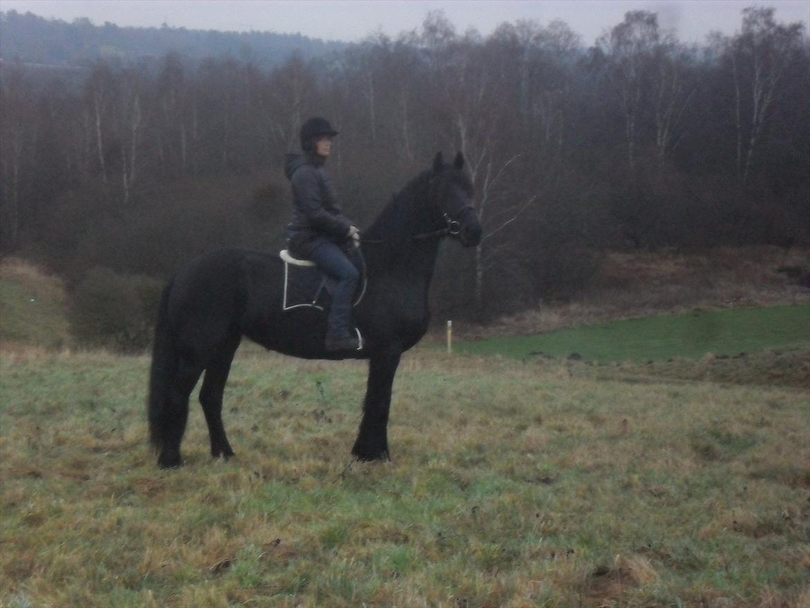 Frieser Joukje W. #SOLGT# billede 5