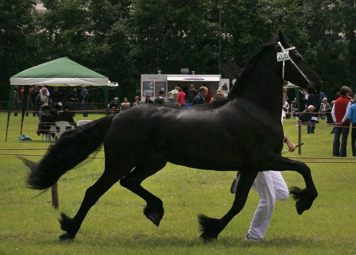 Frieser Joukje W. #SOLGT# billede 6