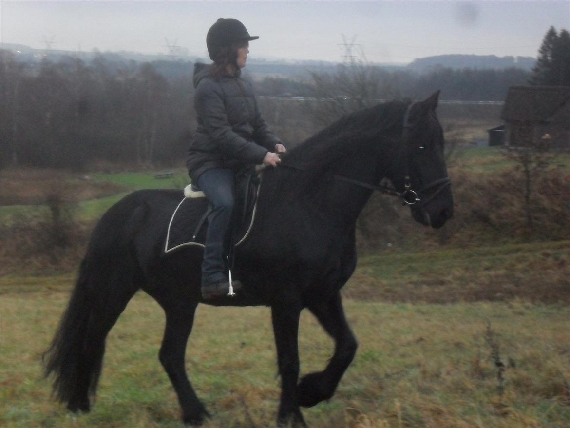 Frieser Joukje W. #SOLGT# billede 7