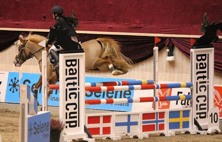 Anden særlig race SAKSKÆRS COMET II - Bare sig jeg tog fejl, bare sig at du hader mig. Det okay. bare lad minderne brænde og lade alting forsvinde væk :'( billede 13