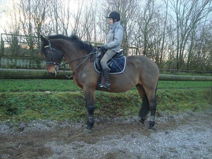 Anden særlig race zette savner dig smukke<333 billede 2