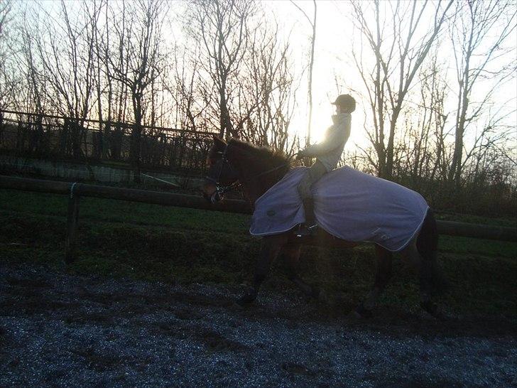 Anden særlig race zette savner dig smukke<333 billede 3