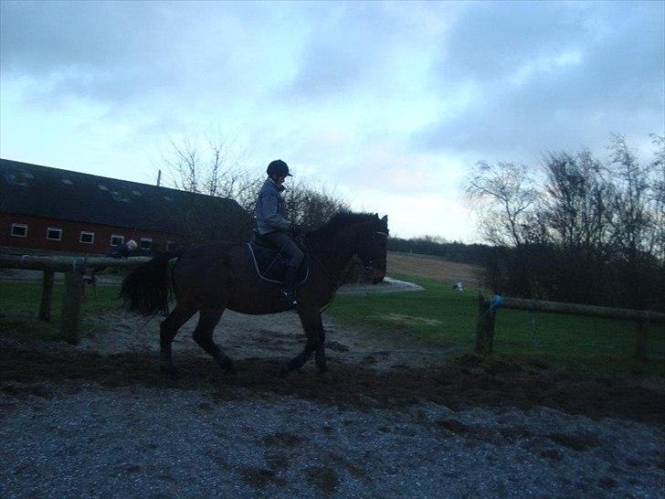 Anden særlig race zette savner dig smukke<333 billede 4