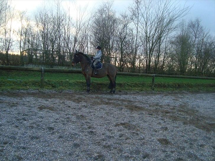 Anden særlig race zette savner dig smukke<333 billede 6