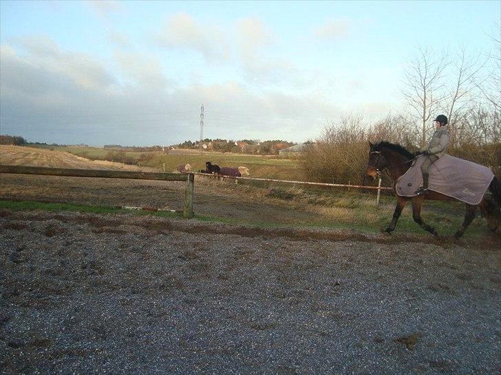 Anden særlig race zette savner dig smukke<333 billede 8