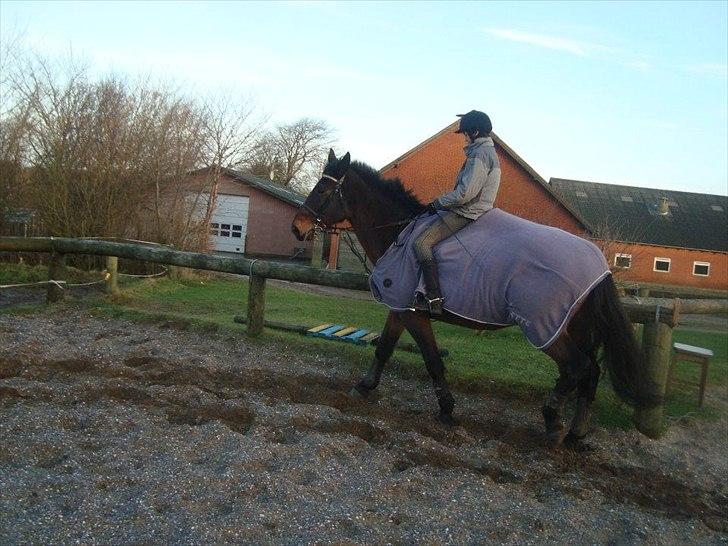 Anden særlig race zette savner dig smukke<333 billede 9