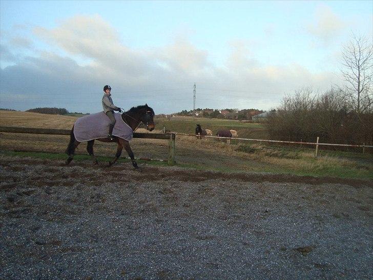 Anden særlig race zette savner dig smukke<333 billede 10