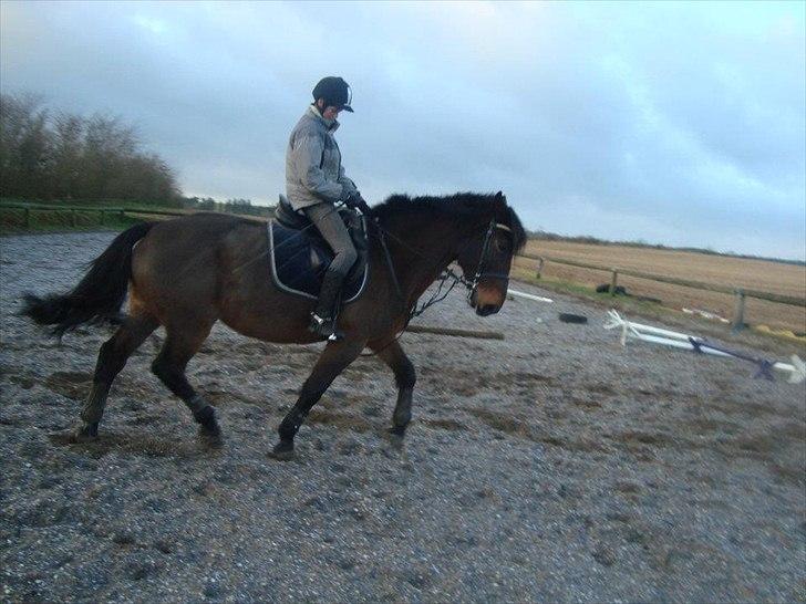 Anden særlig race zette savner dig smukke<333 billede 11