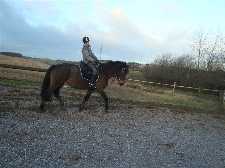 Anden særlig race zette savner dig smukke<333 billede 12