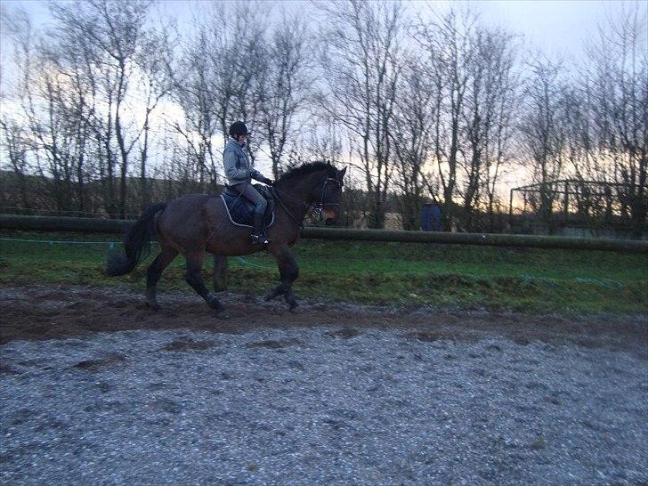 Anden særlig race zette savner dig smukke<333 billede 14