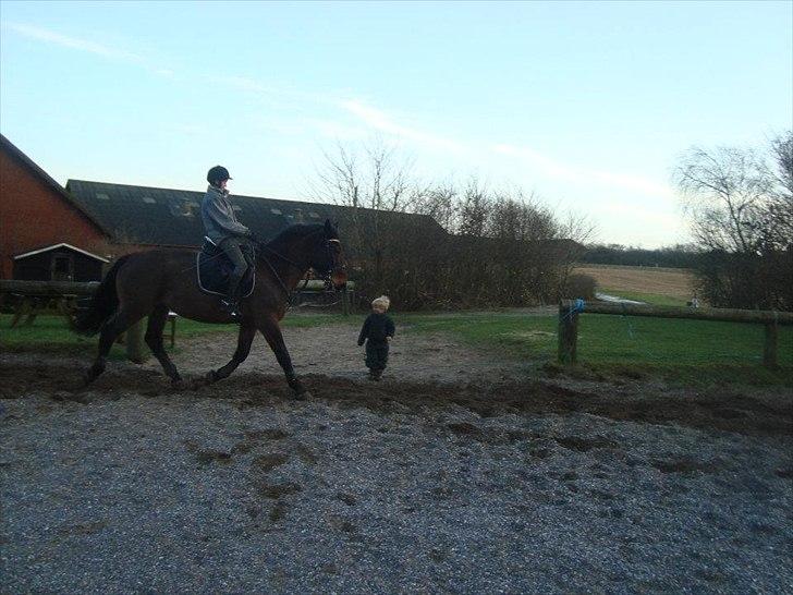 Anden særlig race zette savner dig smukke<333 billede 16