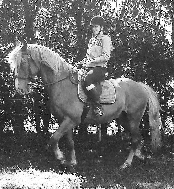 Frederiksborg Niki billede 18