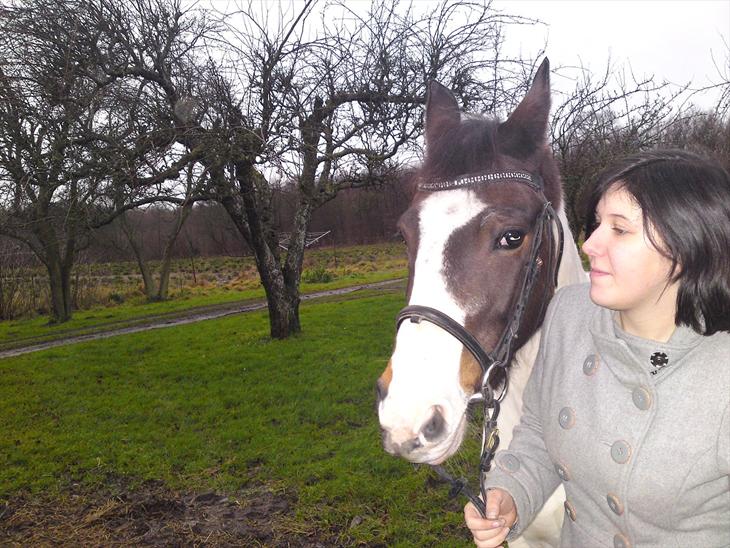 {{currentPhoto.altText}} billede {{currentPhoto.number}}