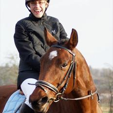 Dansk Varmblod Mølleåens Svetlana