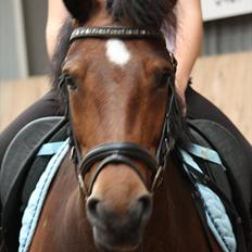 Anden særlig race Stjerne