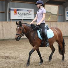 Anden særlig race Stjerne