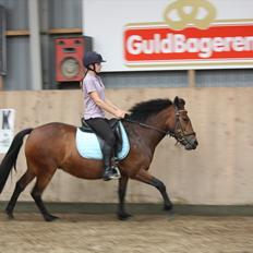 Anden særlig race Stjerne