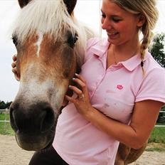 Haflinger Alliann Rundhøj