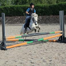 Anden særlig race Kalhaves Laban