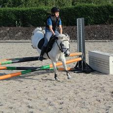 Anden særlig race Kalhaves Laban