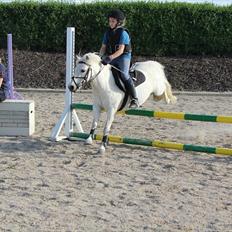 Anden særlig race Kalhaves Laban