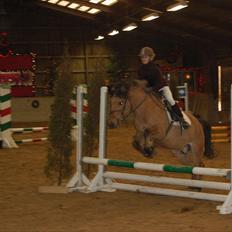 Anden særlig race Bailey spring-ponyen!!<3