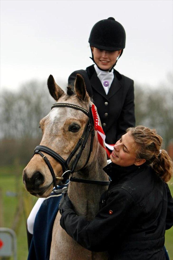 Welsh Cob (sec D) Ocebio <3 - Det kan godt være mine pony år er slut og jeg ikke skal ride dig mere, men vores rejse er ikke slut endnu! <3 Foto: Sanne Svendsen billede 3